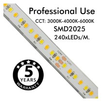Tira LED 24V | 240xLED/M | 5m | SMD2025 | CCT | 10W/M | IP20