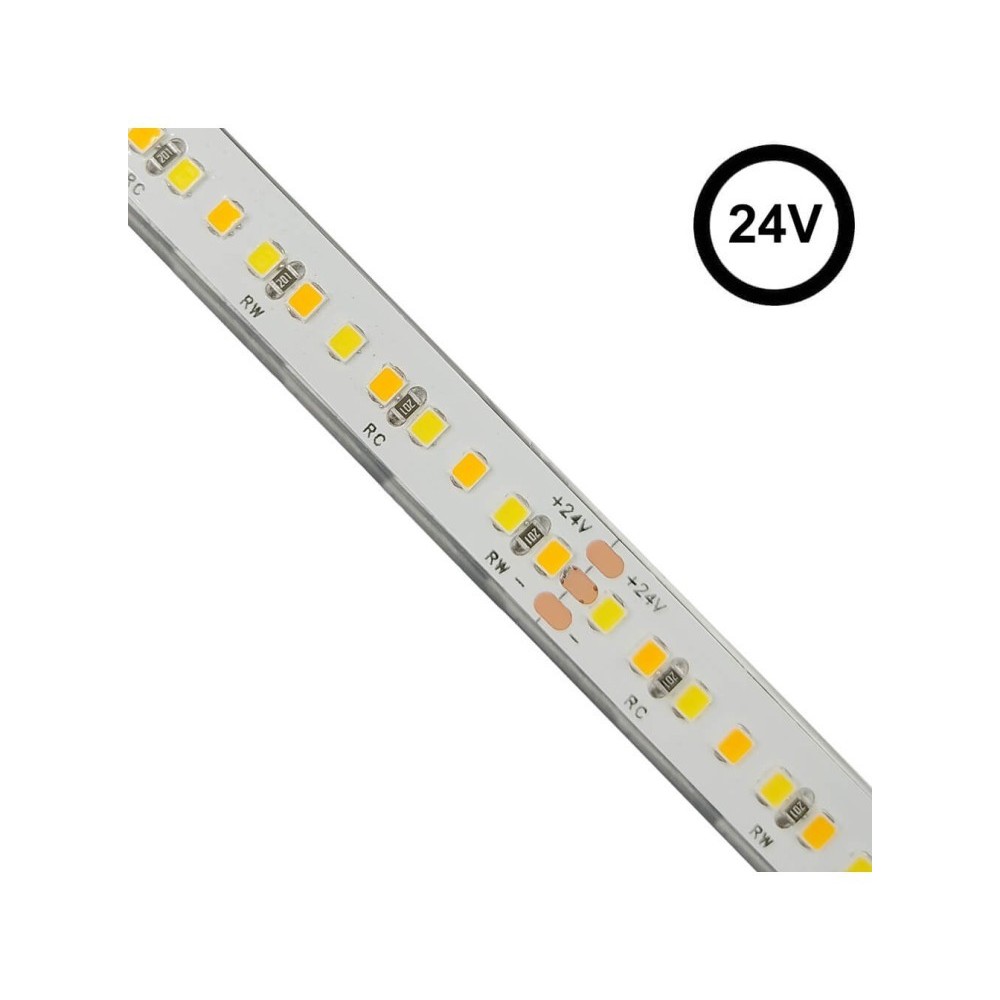 Tira LED 24V | 240xLED/M | 5m | SMD2025 | CCT | 10W/M | IP20