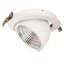 Downlight LED 30W Philips - CertaDrive - Circular Direccionable
