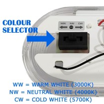 Comprar Regleta Estanca LED 150cm Philips Driver COREPLUS 55W - CCT