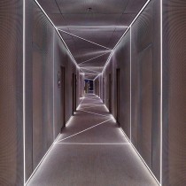 ▷ Comprar Tiras LED COB 24V 5m Luz Blanca【Mejores Ofertas 2021】