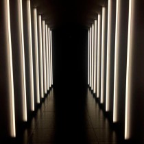 ▷ Comprar Tiras LED COB 24V 5m Luz Blanca【Mejores Ofertas 2021】