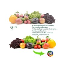 Comprar Foco LED 30W PARMA Blanco Carril Monofásico CRI +92