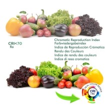 ✔️ Foco LED 40W - 34W NEW MAYA Negro Carril Monofásico - CCT - CRI+92 - UGR13 - HIGH LUMEN