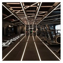 TIRA LED 220V COB 15W/M CORTE CADA 12CM IP65 50 METROS