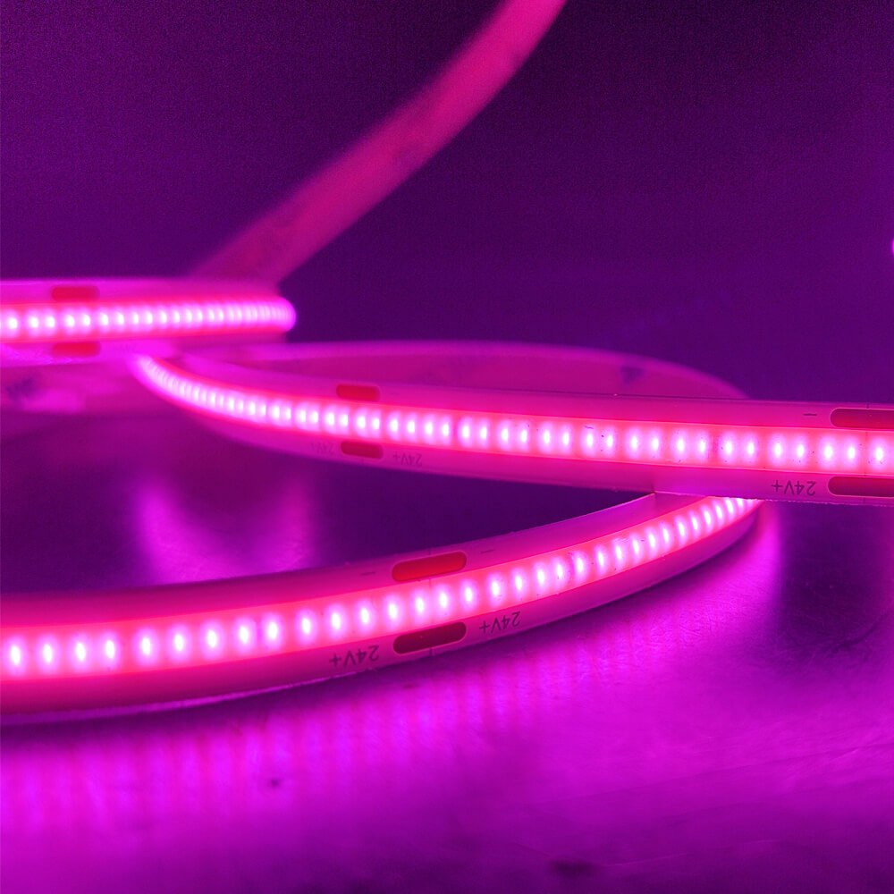 Tira LED COB 24v Carniceria - 副图 3 - #3