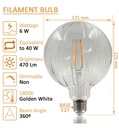 Bombilla LED Filamento Esférica decorativa 6W E27 - Detalle 2