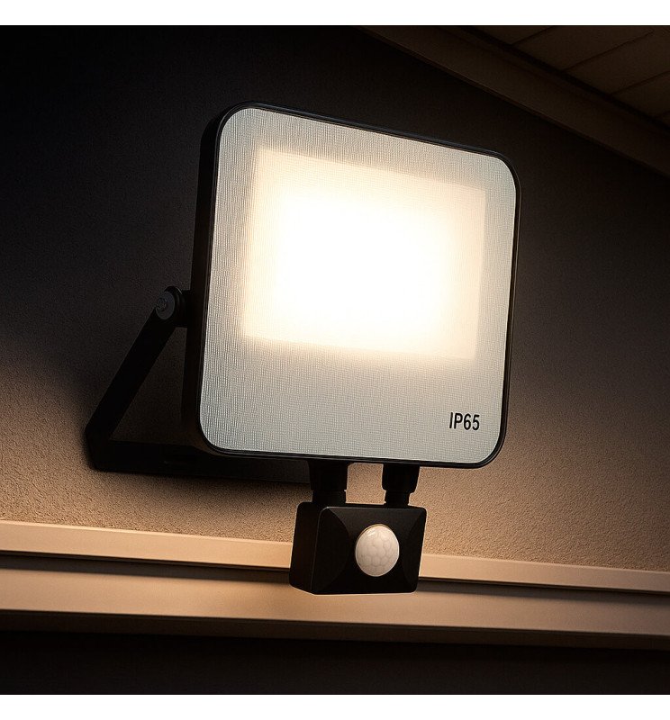 Foco Proyector LED 30W AURORA - Chip Lumileds 140Lm/W - Detalle 3