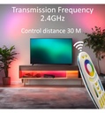 Control remoto RF para LED Monocolor + RGB + CCT + 4 - Detalle 5