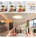 Plafón LED 18W RGB+CCT - Control Remoto - Chip Lumileds - Detalle 5