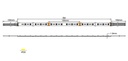 Esquema Técnico y Dimensiones - Tira LED 14W DC 24V RGBW 60 LED IP20