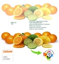 Foco Proyector LED 200W NEW AVANT OSRAM CHIP DURIS E - Newava200 - Chasis Aluminio Disipación T