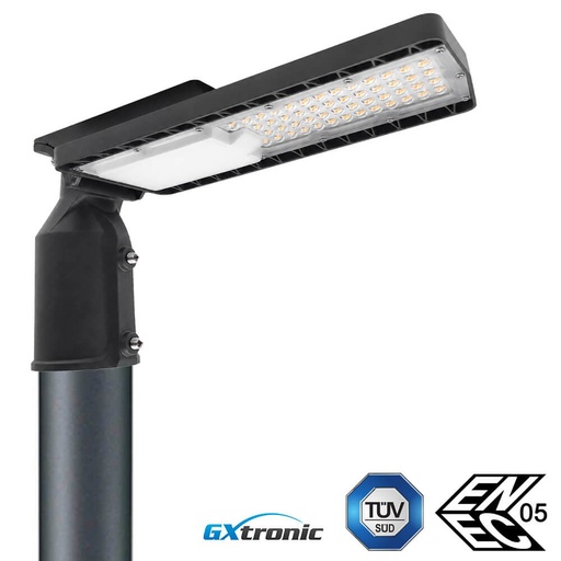 Farola LED 60W NEW HALLEY Bridgelux SMD3030 165 lm/W Clase II