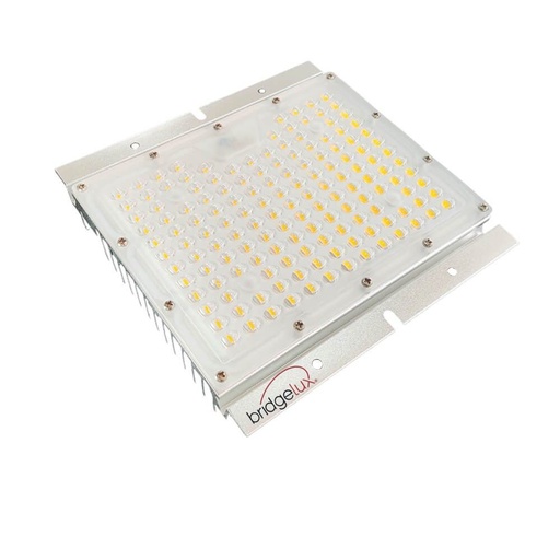 Módulo Óptico LED 65W GXtronic | SMD3030 Chip Bridgelux 180Lm/W | Alta Luminosidad | Asimétrico 78ºx156º | Para Luminarias LED